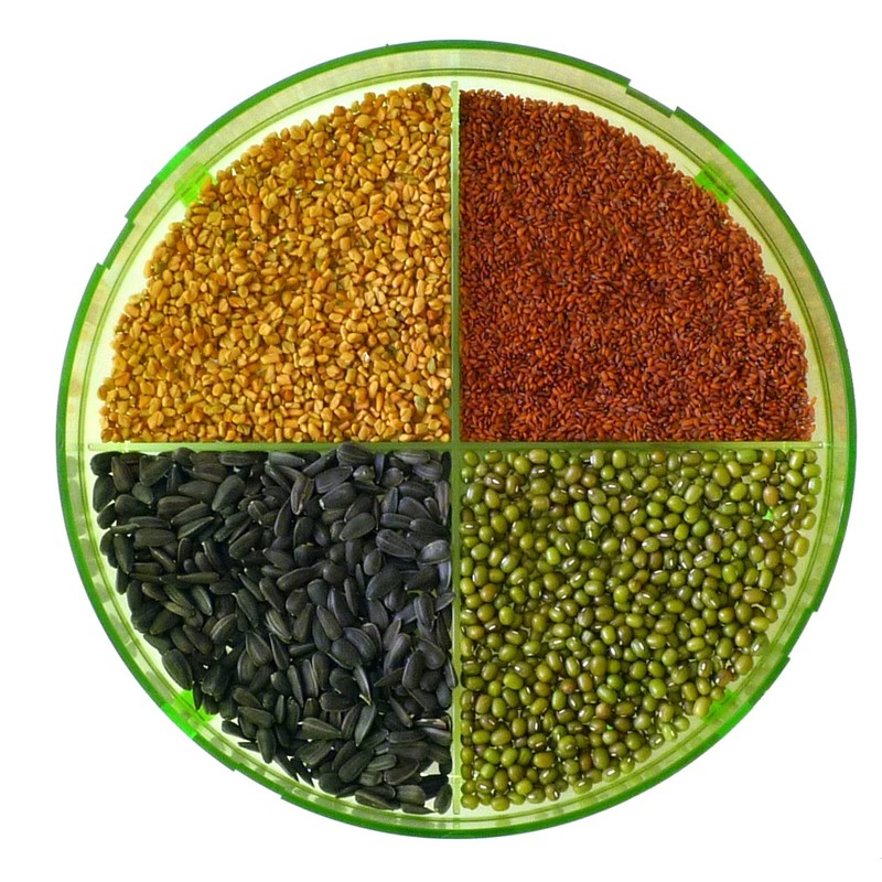 Geo TZZ0870 cultivation sets Geo Plus germination device, green