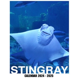 Stingray Calendar 2024 - 2025: Plan Your Year with Monthly Planner Jan 2024 to Dec 2025, Beautiful Photography - Perfect for Gifting