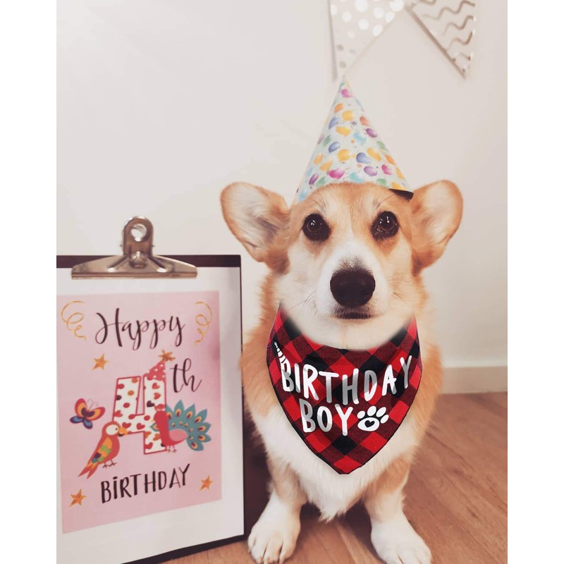 Birthday Boy Dog Bandana