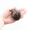 Amphibolite Stone Worry Stone – 1 Piece Amphibolite Crystal Stone