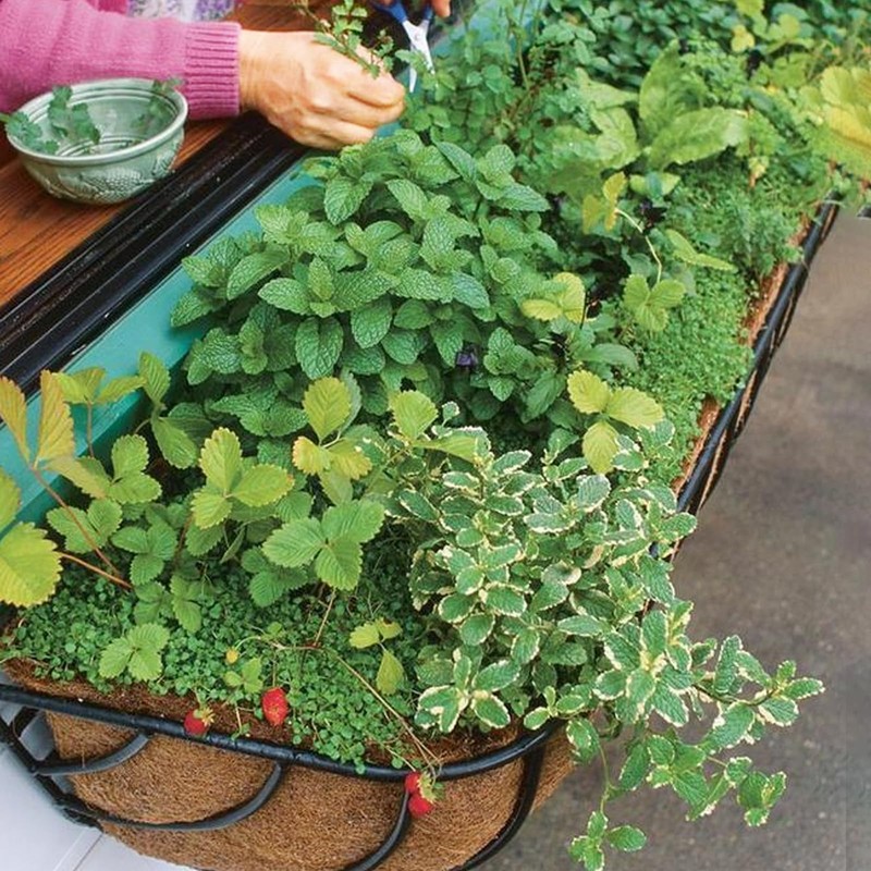 Fengaim Trough Coco Replacement Liners, Coco Fiber Liners for Planters