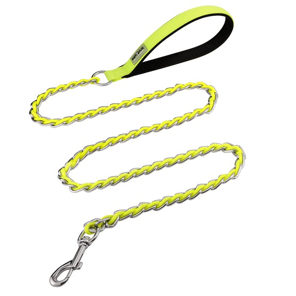 Chew Proof Metal Chain Dog Leash for Medium Large Dogs