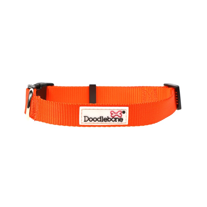 Doodlebone Dog Collar, Tangerine, 3-6