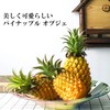 NOELAMOUR Pineapple Food Sample Model Realistic Food Model Display Display
