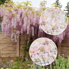 CCINEE 12 Pack Wisteria Flower Vines Garland 3.75 Feet Fake Hanging Flower Artificial Wisteria Vines Rattan Silk Wisteria Vine for Wedding Party Garden Greenery Home Wall Decoration(Pink)