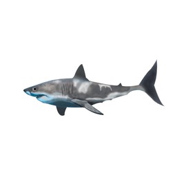 VWAQ Great White Shark Wall Decal Peel & Stick Room Decor (18"H X 45"W)