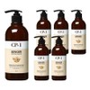 CP One Ginger Purifying Shampoo, 500ml, 6 pcs / 씨피원 진저 퓨리파잉 샴푸, 500ml, 6개