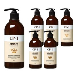 CP One Ginger Purifying Shampoo, 500ml, 6 pcs / 씨피원 진저 퓨리파잉 샴푸, 500ml, 6개