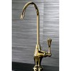 Kingston Brass Gourmetier KS3192BL Vintage Single Handle Water Filtration Faucet,