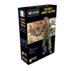 Warlord Games, Italian X Arditi section