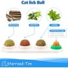 STARROAD-TIM Catnip Wall Ball Catnip Toy for Cats Teeth Clean