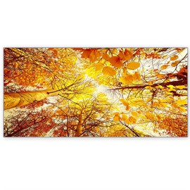 DIQISHIZHU Fluorescent Light Covers for Classroom Office - 2ft x 4ft LED Light Filters, Eliminate Harsh Glare & Eyestrain, Decorative Classroom Light Covers, Light Diffuser Panel.Golden Tree