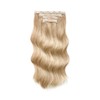 Meiverah Curly Wavy Hair Clip in Hair Extensions, 180G 20IN