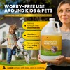 Natural Elements Mosquito Repellent for Decks, Patios, Lawns and Outdoor