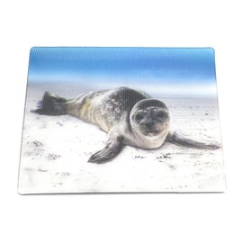 Onwomania Seal Cute 9 x 7 cm 3D Magnet Card Fridge Magnet Picture Staple Magnet Grey
