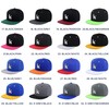 JPAK Fancy Poodle Hip-Hop Snapback Hat Embroidered Baseball Cap Puppies