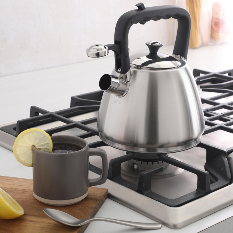 Mr. Coffee Armidale 2.5QT Whistling Tea Kettle, Large Brushed Stainless