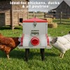 55LB Large Capacity Automatic Chicken Feeder with Window, 8 Feeding