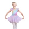 iLover Kids Girls Classic Ruffle Sleeve Tutu kirted Leotard Dress