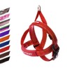 EzyDog Quick Fit Dog Harness - Premium Padded No-Pull Harness,