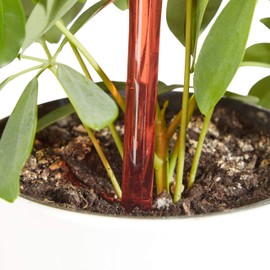 Relaxdays Plant Watering Globes Set, 2-Week Reservoir for Potted Plants, Plastic, Various Colours