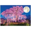 1000 Piece Jigsaw Puzzle at Night Cherry at Maruyama Park
