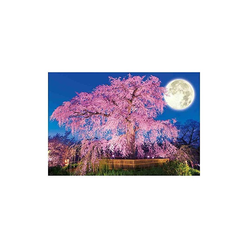 1000 Piece Jigsaw Puzzle at Night Cherry at Maruyama Park