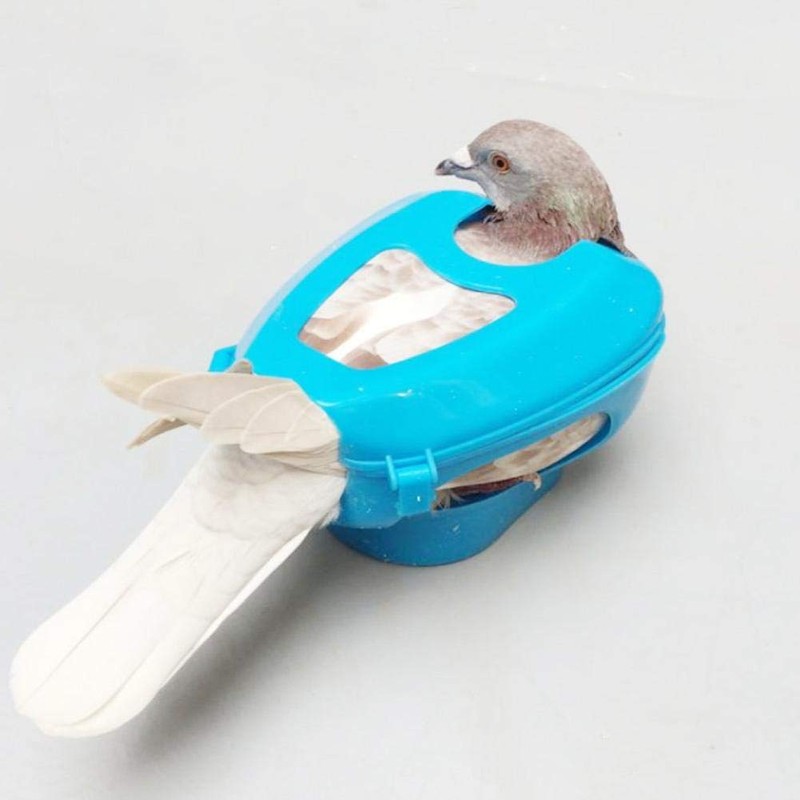 HEEPDD Plastic Pigeon Holder with Fixed Frame and Easy Feeding