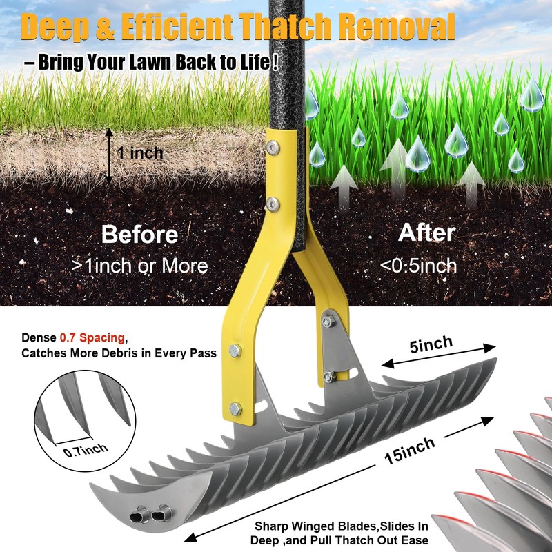 Dual-Action Thatch Rake for Lawn – Efficient 15" Thatching Rake