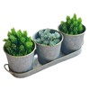 Dipamkar Set of 3 Galvanized Windowsill Herb Pots Metal Herb