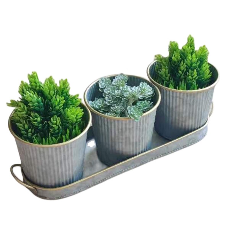 Dipamkar Set of 3 Galvanized Windowsill Herb Pots Metal Herb