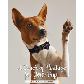 Dog Collar and Leash Set – Scottish Tartan Plaid Dog Bow Tie and Neckerchief, Tangle Free Leash Adjustable Collars Traditional Style for Walking and Training. (Scottish National)