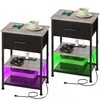 LAKEMID Nightstands Set of 2 with Charging Station and Drawer,