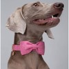 DOGWONG Cotton Dog Collar with Bow Pink Pet Collar Durable