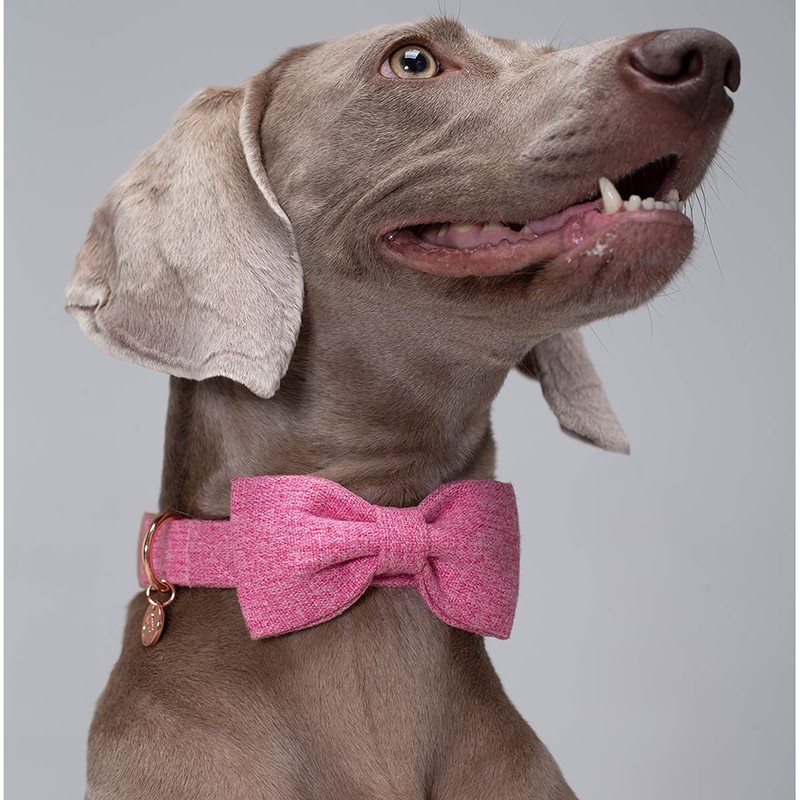 DOGWONG Cotton Dog Collar with Bow Pink Pet Collar Durable
