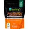 Wellthy Glucosamine 1500mg, Chondroitin 1200mg & MSM 300mg – Joint