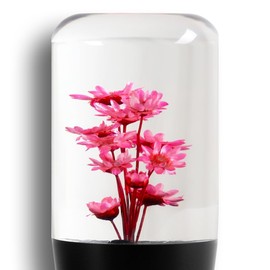 W-POWER Universal JDM Clear Real Flowers Durable Acrylic 10CM Manual Car Gear Stick Shift Knob Shift Head, 5 6 Speed for Manual Automatic Vehicles with Adapters (Pink Flower)