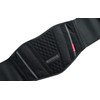 BLACKWILD Kidney Belt - Back Support Belt and Back Straightener