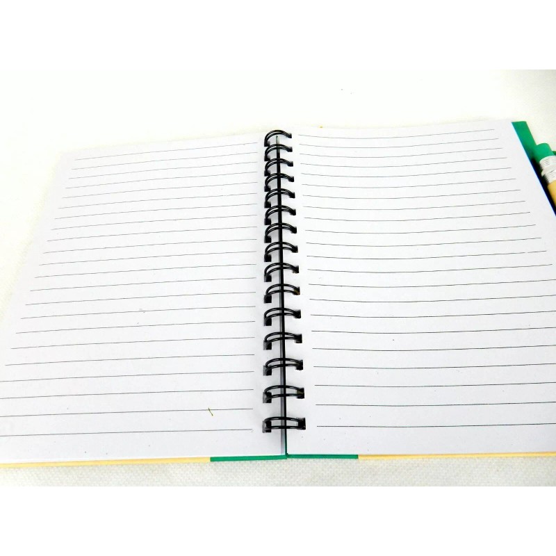 Sweda Recycled Notebook & Pen Set, Green & Beighe, Wire