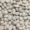 Southeast Seeds White Dixie Butterpea Seeds, NON-GMO, Lima Bean, Shell