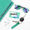 Trident Minty Sweet Twist Sugar-Free Chewing Gum, 12 Packs of