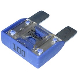 AERZETIX - C10280 - Fuse - Large - Purple - Maxi - 100A - 6V - 12V - 24V - 32V - 29mm - for Car - Truck - Utility