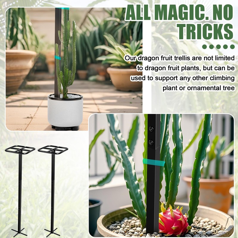 MorningRo 2 Pack Dragon Fruit Trellis Adjustable Metal Garden Plant