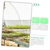 Kisangel 1set Multi-Functional Sprout Trays Wheatgrass Storage Trays Vegetable Starter
