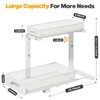 2-Pack Under Sink Storage Organizer, Large 2-Tier Elegant Mesh Pull