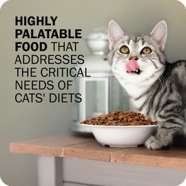 Redbarn Air Dried Powerfood for Cats with Real Chicken – Made in USA High Protein, Grain-Free Dry Cat Kitten Food Full Meal or Topper for Picky Eaters Supports Energy & Healthy Skin Coat – 2.5oz Trial