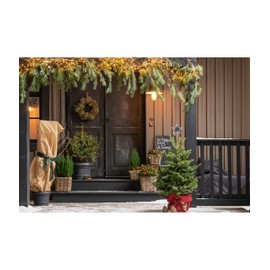 Dehner jute wrap strips, approx. 25 m x 15 cm, cotton, beige, Single