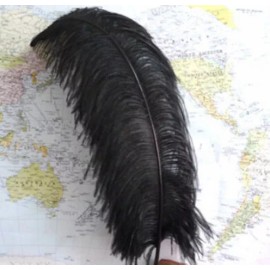 FeatherParadise 2 Pcs Black 26-28 inches Ostrich Feather/Plume/