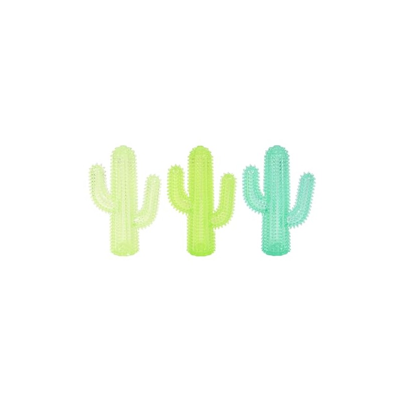 Gnawsome Spiky Cactus- Medium