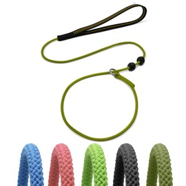 BeauGo Slip Leads for Dogs,Thin Slip Lead,Dog Training Leash,Thin Slip Leads for Dogs,Gentle Leader for Dogs for Small,Medium or Large Dogs,Strong Dog Leash (Seagreen, 1.1M Long)